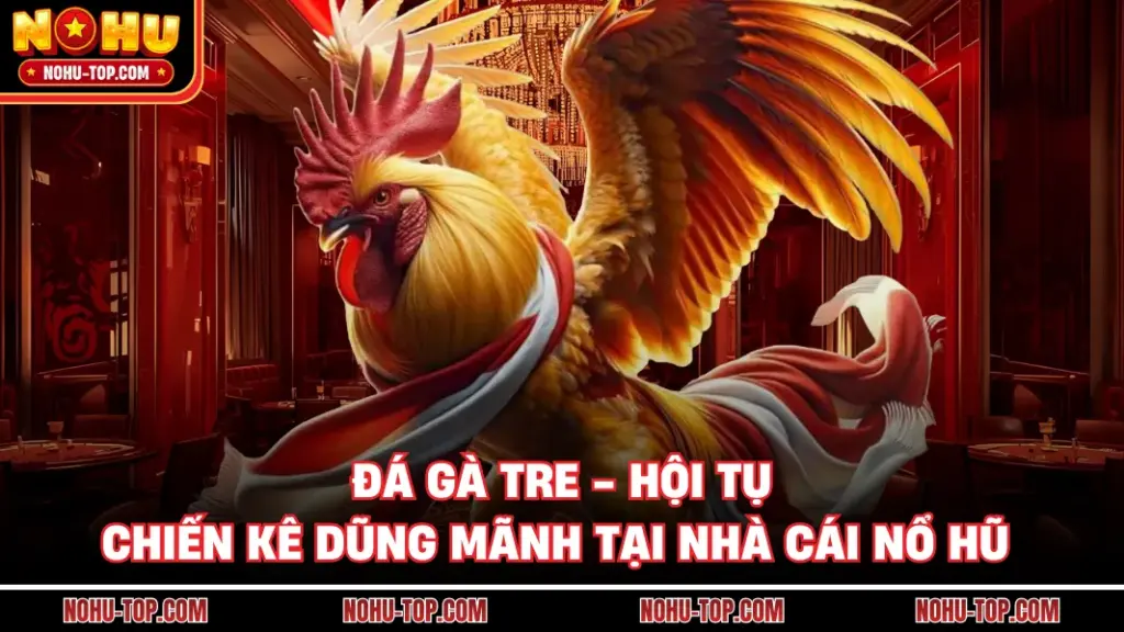 Đá Gà Tre - Hội Tụ Chiến Kê Dũng Mãnh Tại Nhà Cái NỔ HŨ