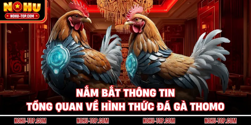 Nắm Bắt Thông Tin Tổng Quan Về Hình Thức Đá Gà Thomo