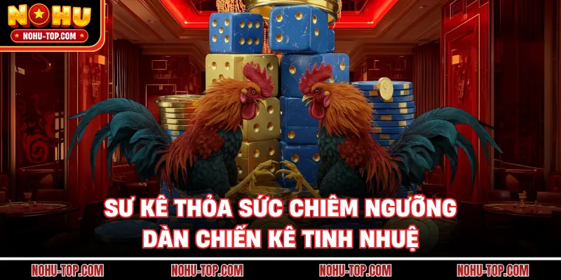 Sư Kê Thỏa Sức Chiêm Ngưỡng Dàn Chiến Kê Tinh Nhuệ
