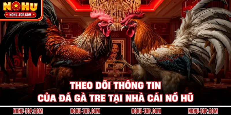 Theo Dõi Thông Tin Của Đá Gà Tre Tại Nhà Cái Nổ Hũ