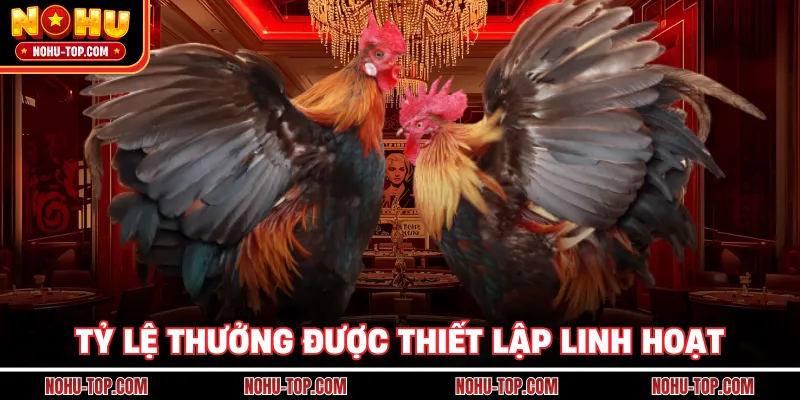 Tỷ Lệ Thưởng Được Nhà Cái Thiết Lập Linh Hoạt