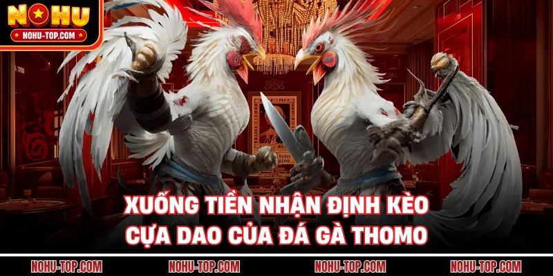 Xuống Tiền Nhận Định Kèo Cựa Dao Của Đá Gà Thomo